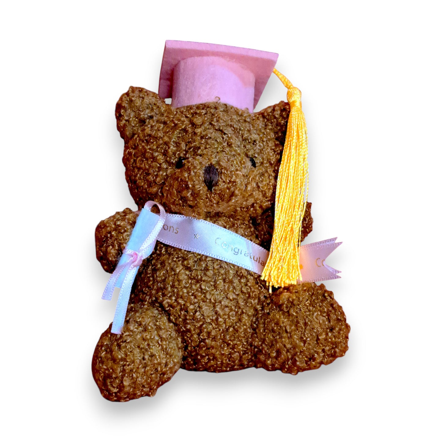 Graduation Bear with Class of 2025 Earrings, Teddy Bear front view 1