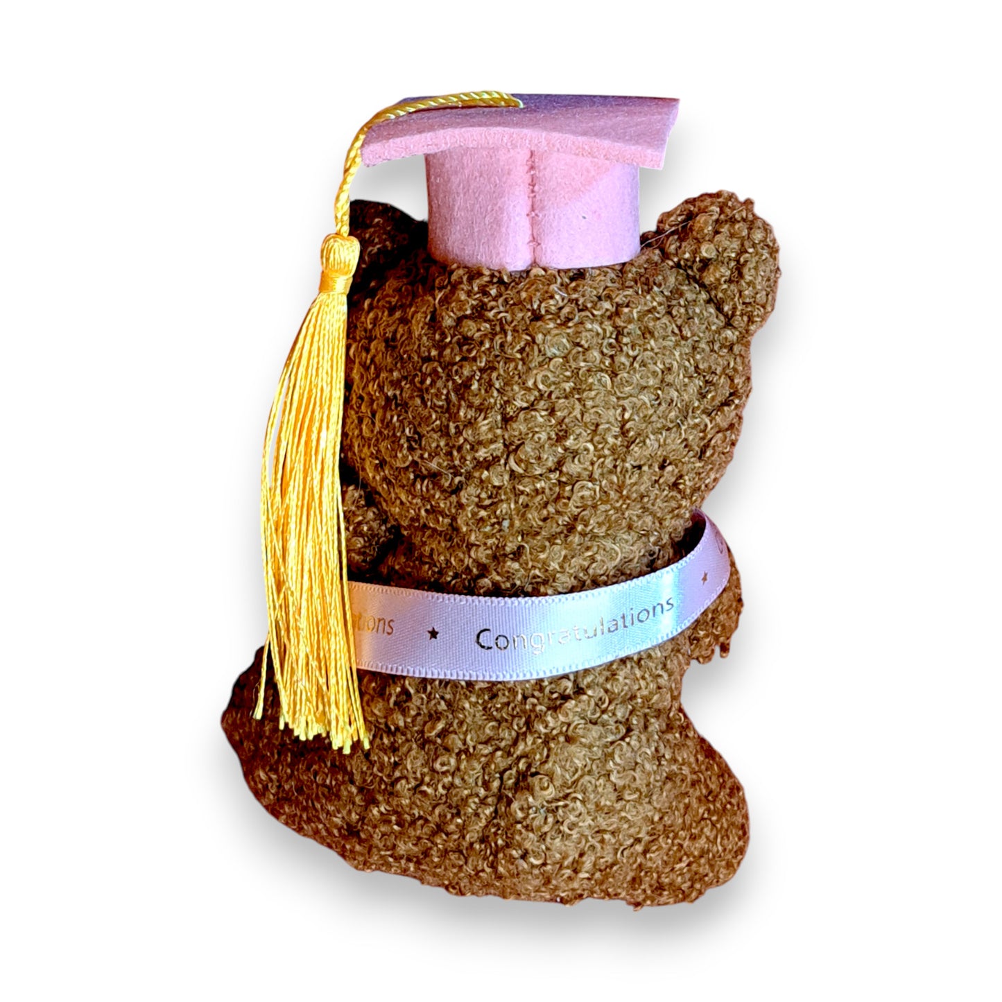 Graduation Bear with Class of 2025 Earrings, back of Teddy Bear